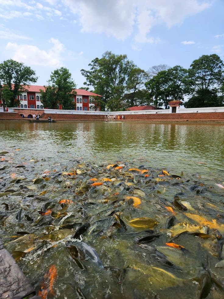 Siddha Pokhari