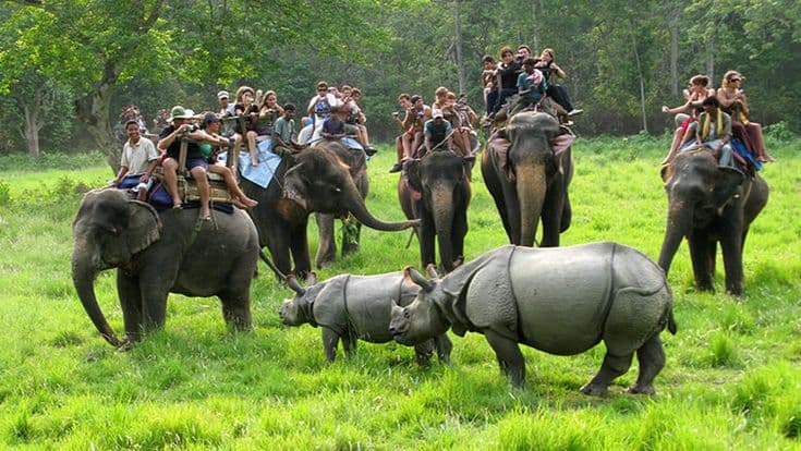 Chitwan National Park