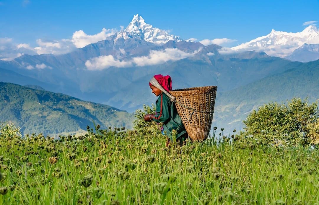 Ghandruk–Landruk Trail