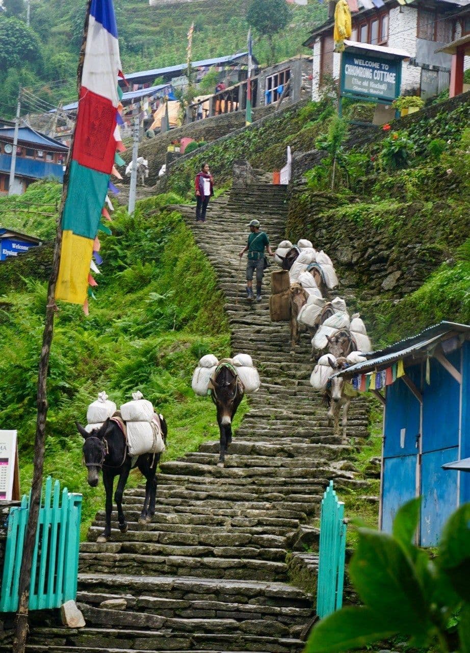 Ghandruk introduction