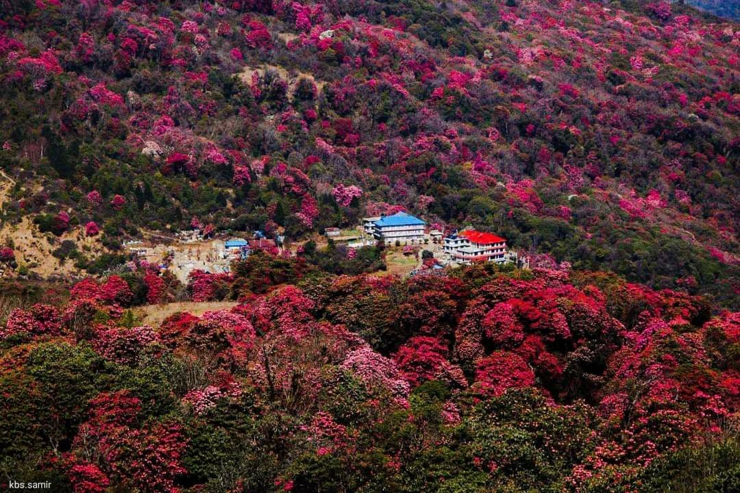 Ghorepani Village