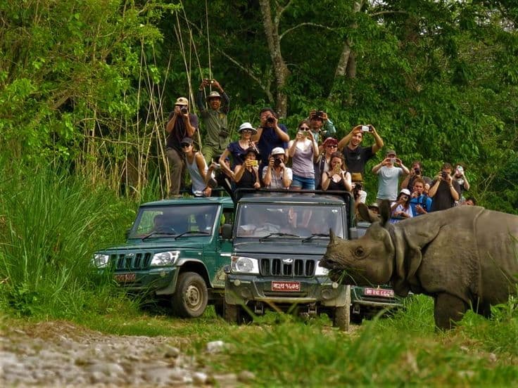 Elephant safari in Chitwan