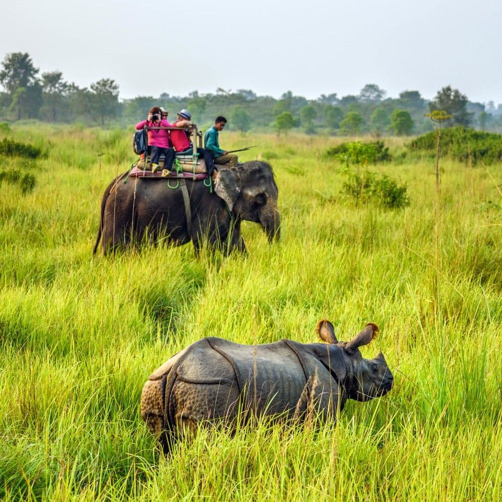 Chitwan