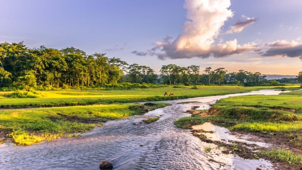 Chitwan landscape with jungle and river