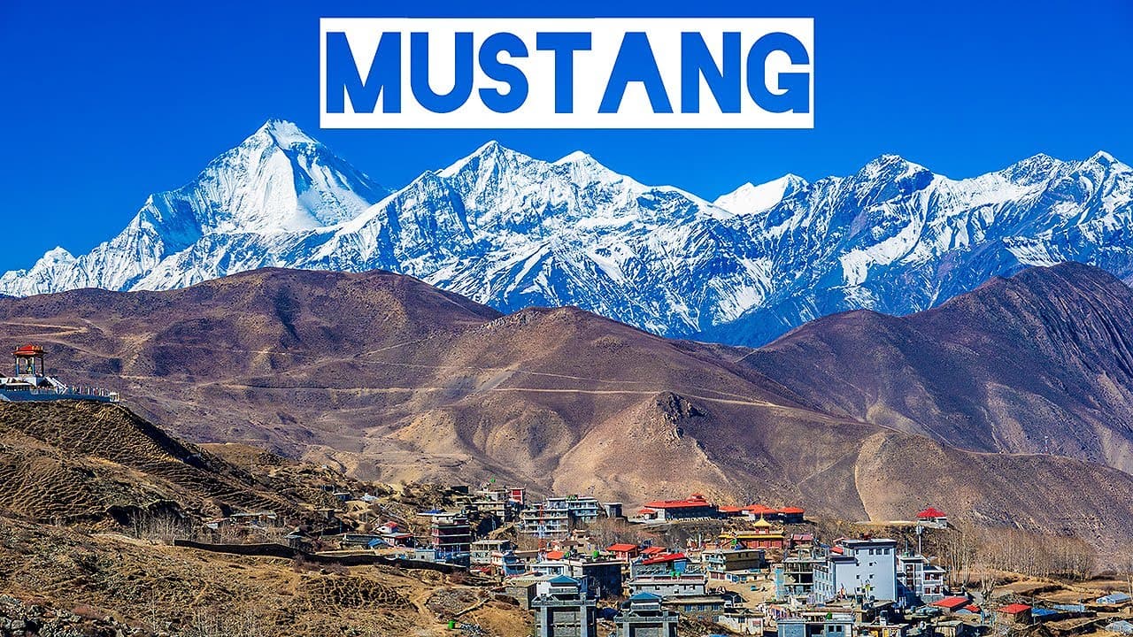 Mustang Travel Guide